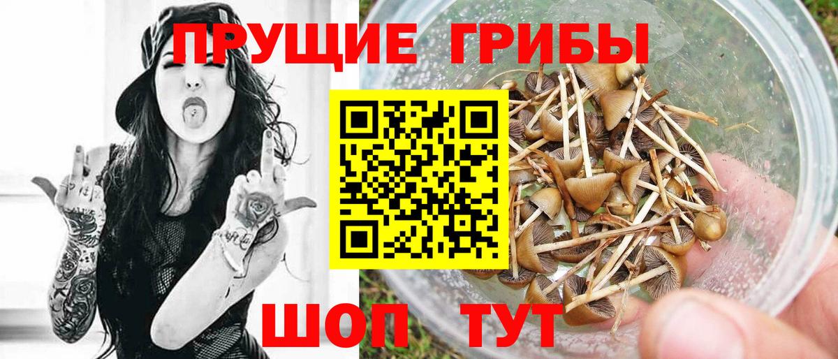 Марихуана  Гашиш  Сыктывкар  Героин  Меф кристаллы  КОКАИН  Вход с VPN  ТГК 