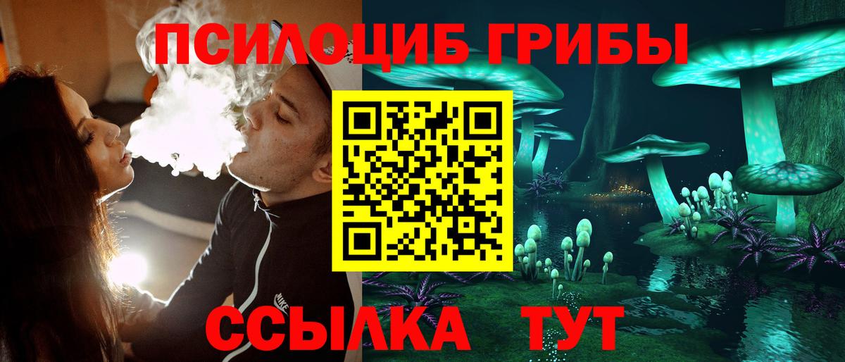 Псилоцибиновые грибы Psilocybe  Вход с VPN  Сыктывкар 