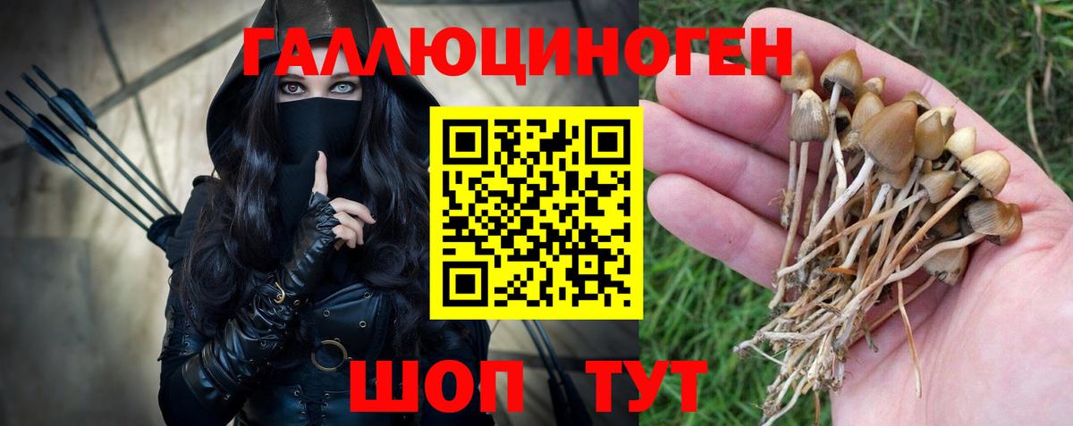 Галлюциногенные грибы мухоморы Сыктывкар